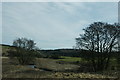 Quharity Burn near Balloch