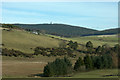 Valley of the Burn of Quharity above Balloch