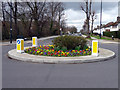 Floral Display on Roundabout, Chase Road, London N14