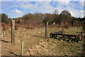 The southern slope of Hook Heath