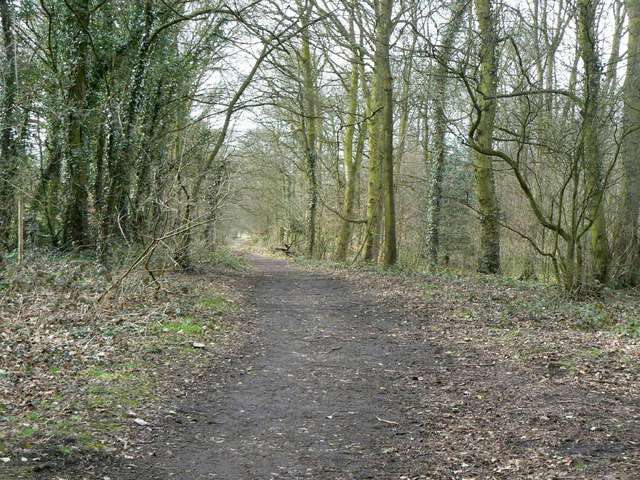 Top Of Prince's Incline © Alan Murray-rust Cc-by-sa 2.0 :: Geograph 