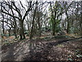 Tumulus, Ferndown Common