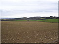 View across Pitt Down towards South Lynch