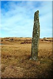NR2167 : Islay's Tallest Standing Stone by Mary and Angus Hogg