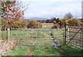 Footpath leading to Cae-du from the Ynysleci road