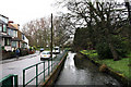 Beddington:  River Wandle