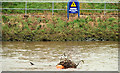 Debris on the Lagan, Belfast