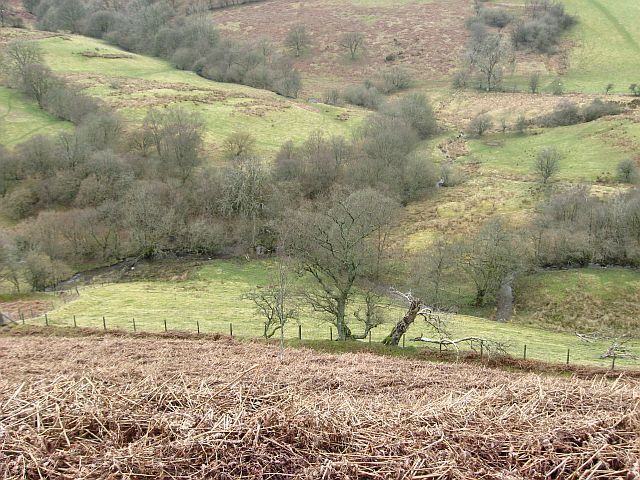 View down the hill to the confluence