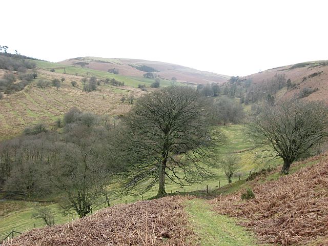 View up the valley towards New Well