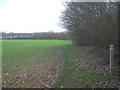 TR1652 : Footpath near Gorsley Wood by David Anstiss