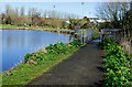 Footbridge, Carrickfergus (2)