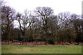 Eastham Country Park picnic area