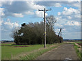 Copse near Bonby Top Farm