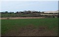 View across farmland in the direction of Pentyrch-uchaf and Bryn Selyf farms