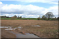 Farmland near Poole Bank