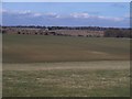 Gloucestershire farmland