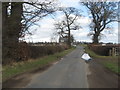 looking back to Roxburgh Barns