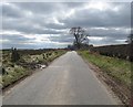 Minor road heading for Over Roxburgh