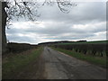 Minor road heading away from Roxburgh