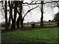 Churchyard at St Mary, Storrington (4)