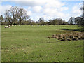 Field southeast of Firs Farm