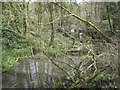 Derelict lake near Old Manor Farm, Haseley