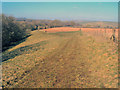 Public footpath by the Kempley Brook