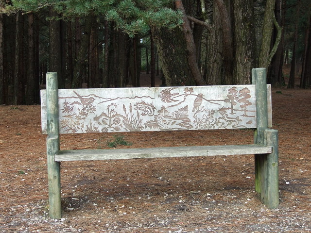 Carved Bench, Canford Heath