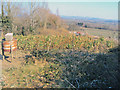 Pheasant feeder near Bickerton Court