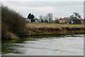 Riverbank at Shillingford