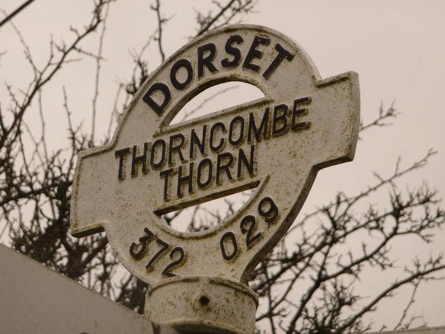 Thorncombe: detail of Thorncombe Thorn finger-post