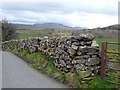 A bumpy drystone wall