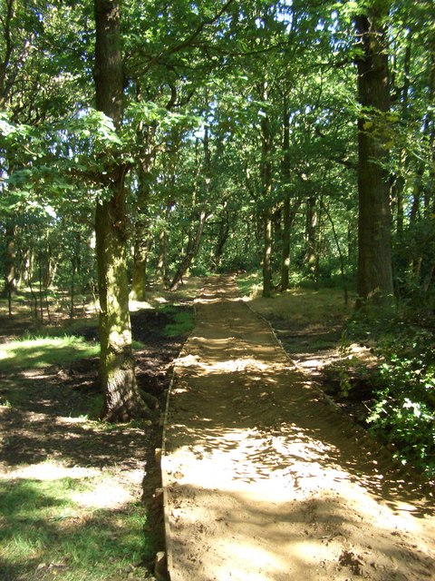 Access-for-All path, Buck Wood