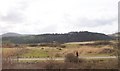 A walking trail at the Conwy Nature Reserve