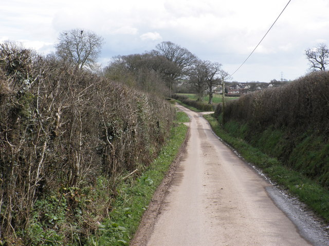 Minor road to Payhembury