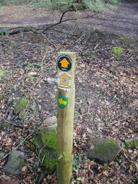 Route marker, Coed Mawr © Jaggery :: Geograph Britain and Ireland