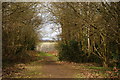 Footpath on Kenley Common, Surrey