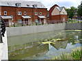 Flood defence Wolverton Mill