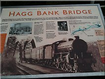 NZ1164 : Information board, Hagg Bank Bridge by hayley green