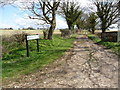 Palestine - Bournemouth Road