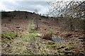 Pool on Chase End Hill