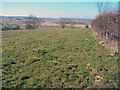 SO6430 : Pasture land on Gwynne's Hill by Trevor Rickard
