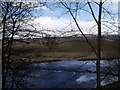 Weir above Brungerley Bridge