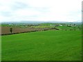 Carrickrovaddy Townland