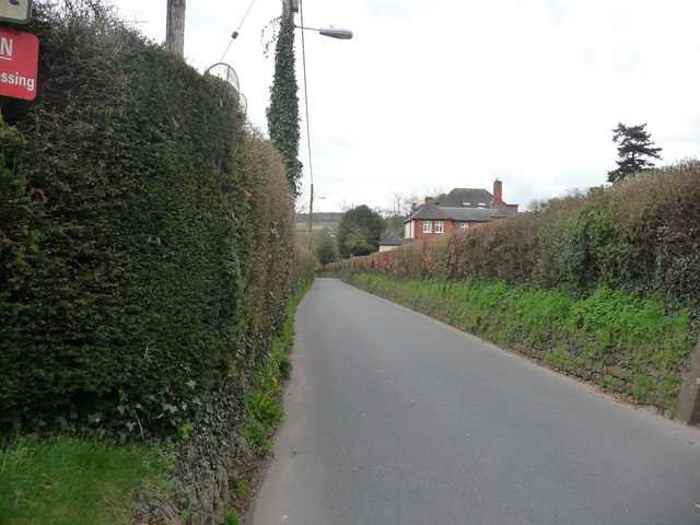 Tiverton : Tidcombe Lane