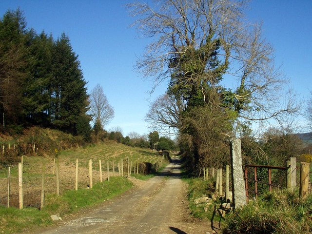 Laneway above Ballinaclash