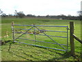 Gate near Maiden Wood