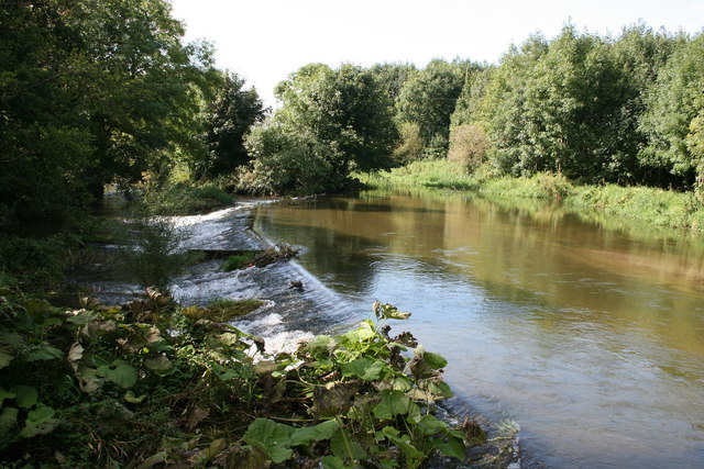 River Greese