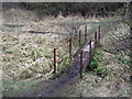 Footbridge in Cassop Vale National Nature Reserve