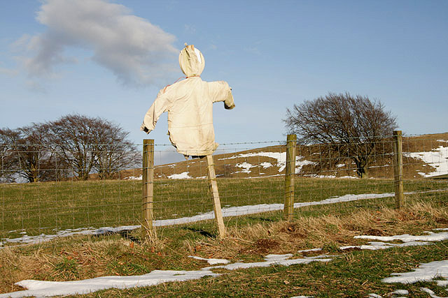 A scarecrow at Old Harestanes